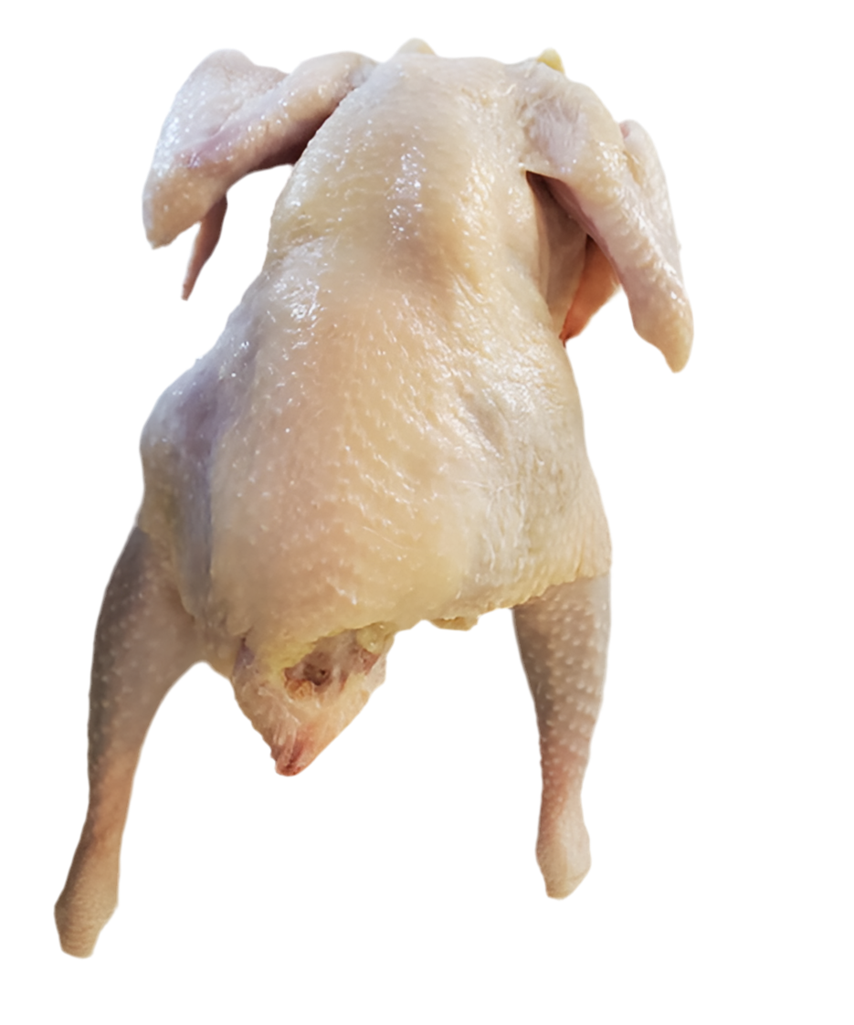 Poulet dur (G)