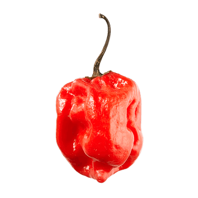 Muhato scotch Bonnet 50g