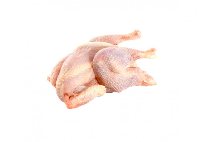 Hard Chicken (s)