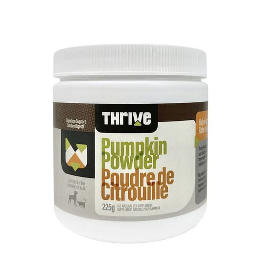 Nseya's Poudre De Citrouille