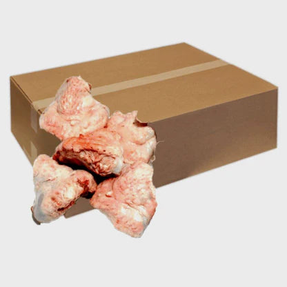 Turkey Tail Box