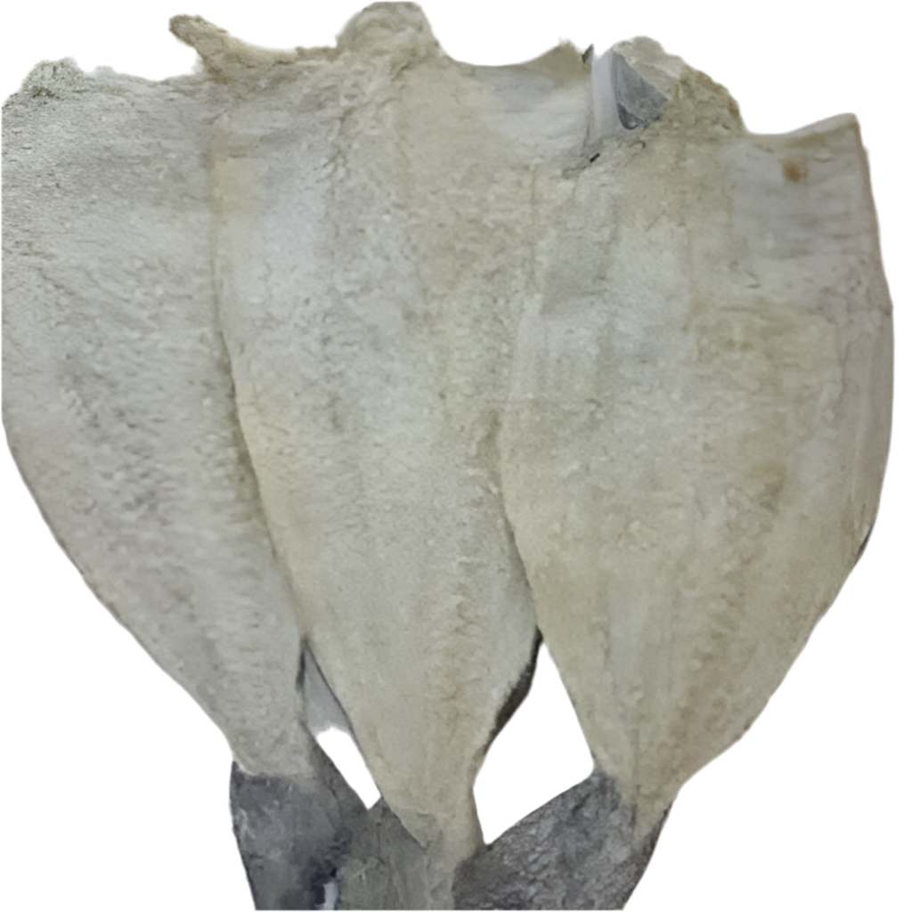 Brown Salted Fish 7lbs